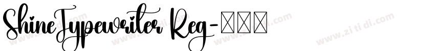 ShineTypewriter Reg字体转换